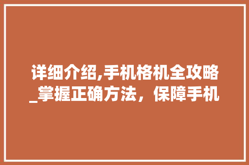 详细介绍,手机格机全攻略_掌握正确方法，保障手机安全