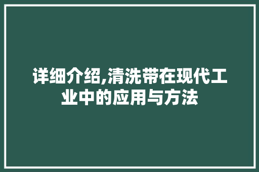 详细介绍,清洗带在现代工业中的应用与方法