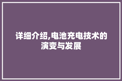 详细介绍,电池充电技术的演变与发展