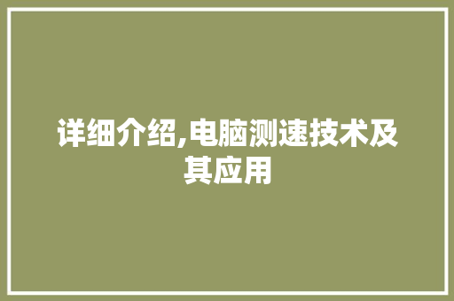 详细介绍,电脑测速技术及其应用