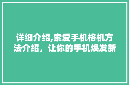 详细介绍,索爱手机格机方法介绍，让你的手机焕发新生