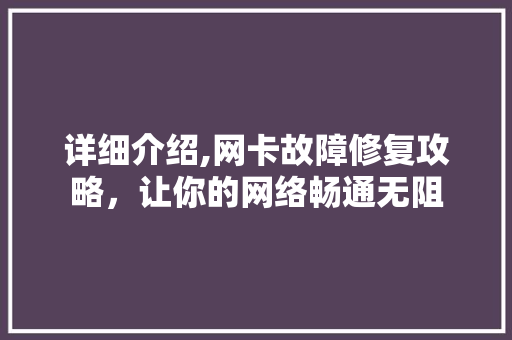 详细介绍,网卡故障修复攻略，让你的网络畅通无阻