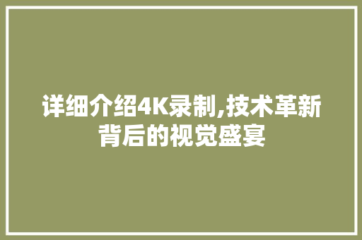 详细介绍4K录制,技术革新背后的视觉盛宴 电脑故障维修 详细介绍4K录制,技术革新背后的视觉盛宴 电脑故障维修