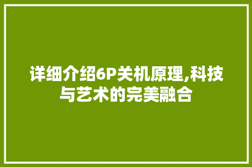 详细介绍6P关机原理,科技与艺术的完美融合 详细介绍6P关机原理,科技与艺术的完美融合