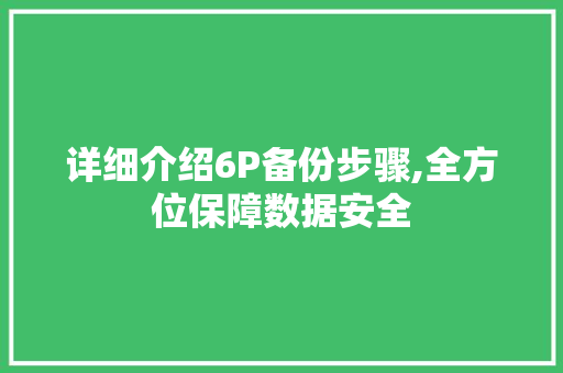 详细介绍6P备份步骤,全方位保障数据安全 详细介绍6P备份步骤,全方位保障数据安全