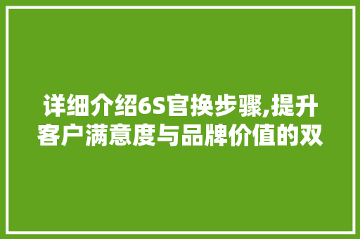 详细介绍6S官换步骤,提升客户满意度与品牌价值的双赢之路
