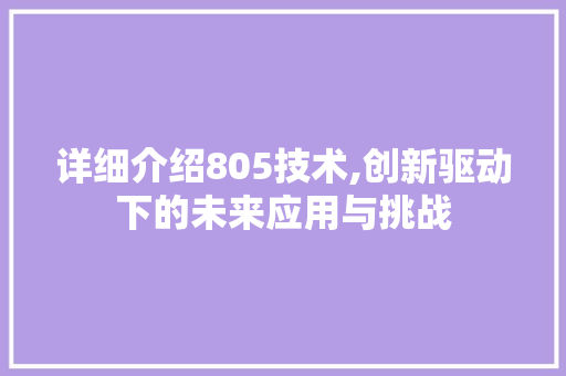 详细介绍805技术,创新驱动下的未来应用与挑战 详细介绍805技术,创新驱动下的未来应用与挑战