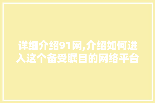 详细介绍91网,介绍如何进入这个备受瞩目的网络平台