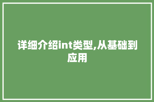 详细介绍int类型,从基础到应用