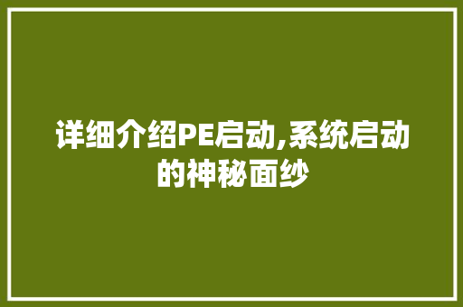 详细介绍PE启动,系统启动的神秘面纱