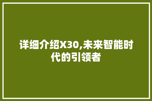 详细介绍X30,未来智能时代的引领者