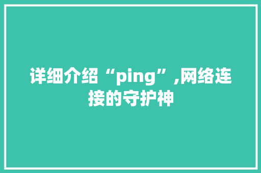 详细介绍“ping”,网络连接的守护神