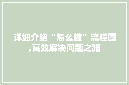 详细介绍“怎么做”流程图,高效解决问题之路