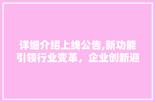 详细介绍上线公告,新功能引领行业变革，企业创新迎来新机遇 编程语言