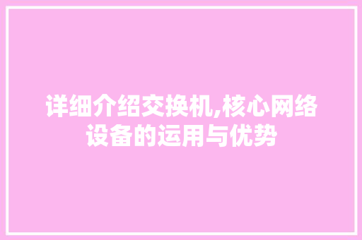 详细介绍交换机,核心网络设备的运用与优势 电脑配置