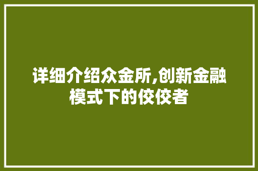 详细介绍众金所,创新金融模式下的佼佼者 详细介绍众金所,创新金融模式下的佼佼者