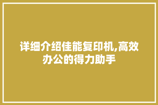 详细介绍佳能复印机,高效办公的得力助手 电脑故障维修