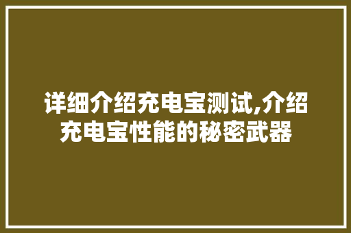 详细介绍充电宝测试,介绍充电宝性能的秘密武器 电脑故障维修 详细介绍充电宝测试,介绍充电宝性能的秘密武器 电脑故障维修