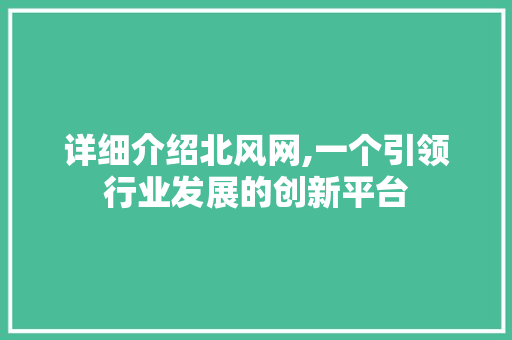 详细介绍北风网,一个引领行业发展的创新平台 详细介绍北风网,一个引领行业发展的创新平台