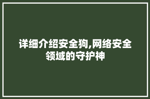 详细介绍安全狗,网络安全领域的守护神