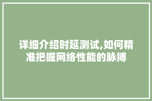详细介绍时延测试,如何精准把握网络性能的脉搏 详细介绍时延测试,如何精准把握网络性能的脉搏