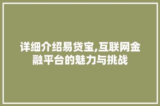 详细介绍易贷宝,互联网金融平台的魅力与挑战 详细介绍易贷宝,互联网金融平台的魅力与挑战