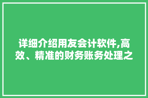 详细介绍用友会计软件,高效、精准的财务账务处理之路 网络技术