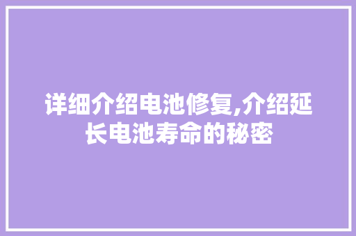 详细介绍电池修复,介绍延长电池寿命的秘密 编程语言