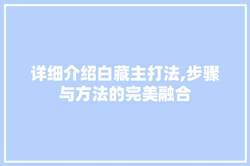 详细介绍白藏主打法,步骤与方法的完美融合 电脑故障维修 详细介绍白藏主打法,步骤与方法的完美融合 电脑故障维修