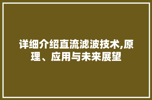 详细介绍直流滤波技术,原理、应用与未来展望 电脑故障维修 详细介绍直流滤波技术,原理、应用与未来展望 电脑故障维修