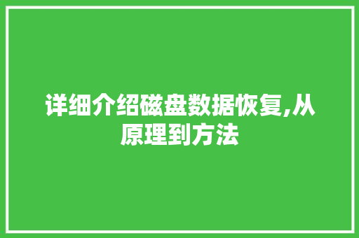 详细介绍磁盘数据恢复,从原理到方法 网络技术 详细介绍磁盘数据恢复,从原理到方法 网络技术