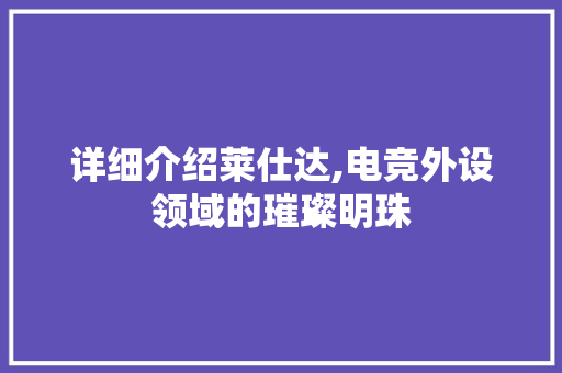 详细介绍莱仕达,电竞外设领域的璀璨明珠 编程语言 详细介绍莱仕达,电竞外设领域的璀璨明珠 编程语言