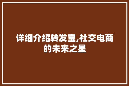 详细介绍转发宝,社交电商的未来之星