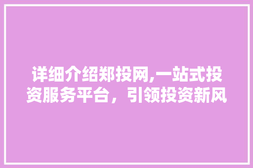 详细介绍郑投网,一站式投资服务平台，引领投资新风向