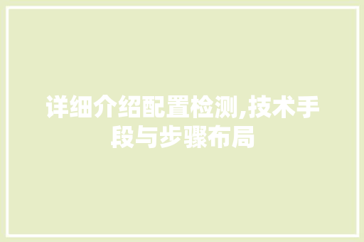 详细介绍配置检测,技术手段与步骤布局