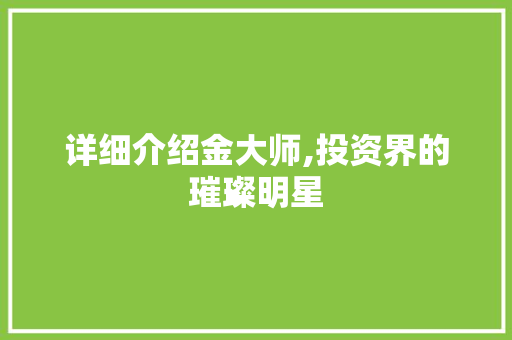 详细介绍金大师,投资界的璀璨明星