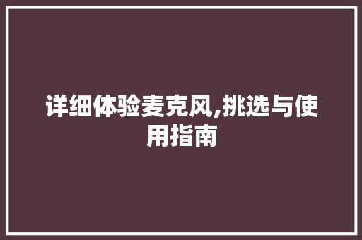 详细体验麦克风,挑选与使用指南