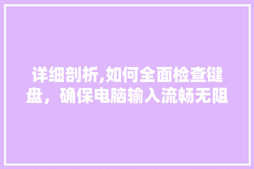 详细剖析,如何全面检查键盘，确保电脑输入流畅无阻