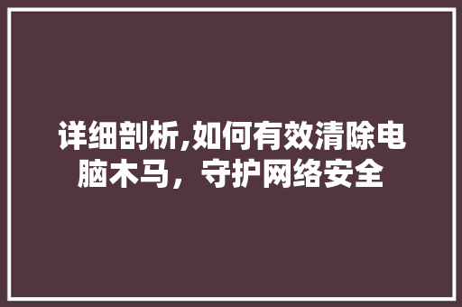 详细剖析,如何有效清除电脑木马，守护网络安全
