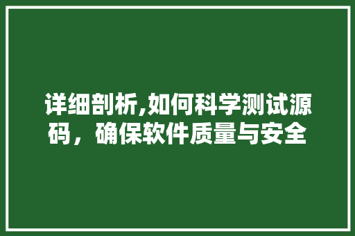 详细剖析,如何科学测试源码，确保软件质量与安全