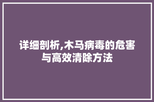 详细剖析,木马病毒的危害与高效清除方法