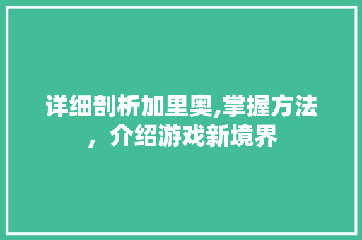 详细剖析加里奥,掌握方法，介绍游戏新境界