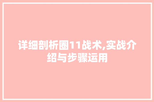 详细剖析圈11战术,实战介绍与步骤运用