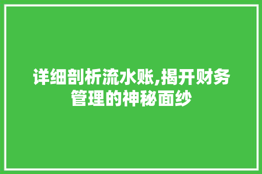 详细剖析流水账,揭开财务管理的神秘面纱