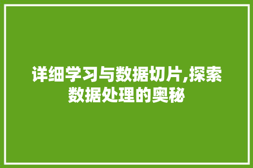 详细学习与数据切片,探索数据处理的奥秘