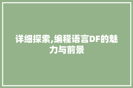 详细探索,编程语言DF的魅力与前景