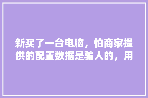 新买了一台电脑，怕商家提供的配置数据是骗人的，用鲁大师能准确检测出电脑硬件配置吗_电脑配置怎么看优劣程度啊