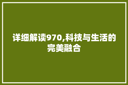 详细解读970,科技与生活的完美融合 网络技术