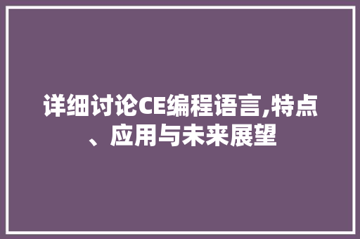 详细讨论CE编程语言,特点、应用与未来展望 电脑配置