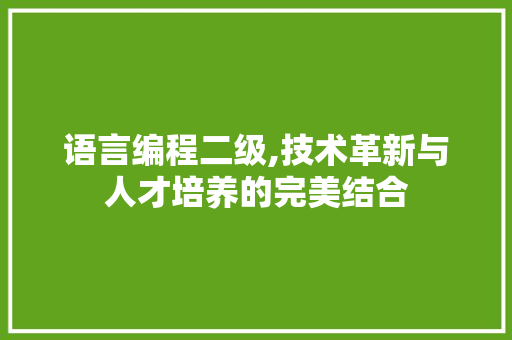 语言编程二级,技术革新与人才培养的完美结合